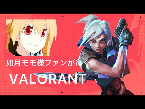 如月モモ様ファンが行く、VALORANT