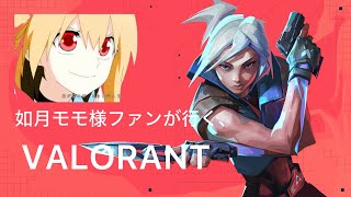 如月モモ様ファンが行く、VALORANT