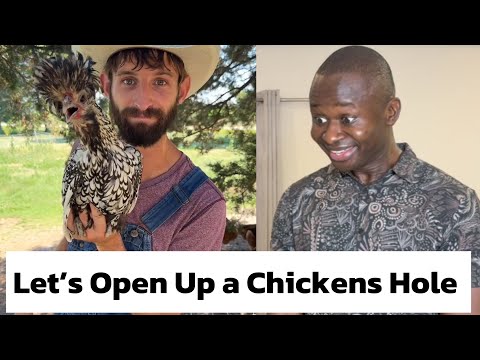 Let’s Open Up a Chickens Hole