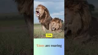 Learn English Through Songs | Monkey, Lion, Tiger, Elephant, Dolphin, Penguin,  Bear