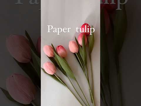 DIY Paper Tulips 🌷#diy #diytulips #diytutorial #tulips #papercraft #paperflower #paperflowers #diy