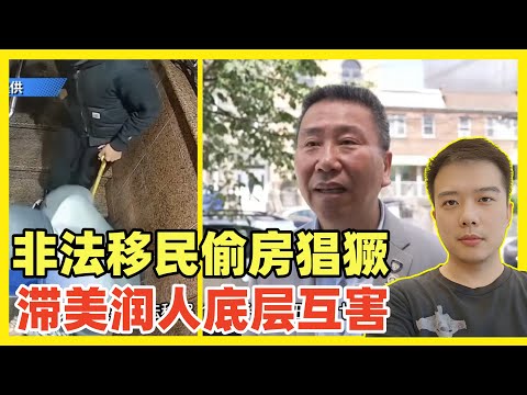 美国华人亲述：房子被非法移民霸占，最后付3万美元才请走！美国警察司法系统崩溃！润去美国的凤姐开始推特上诉苦！被中国走线客卷死没活路！僧多粥少，底层走线客进退两难！