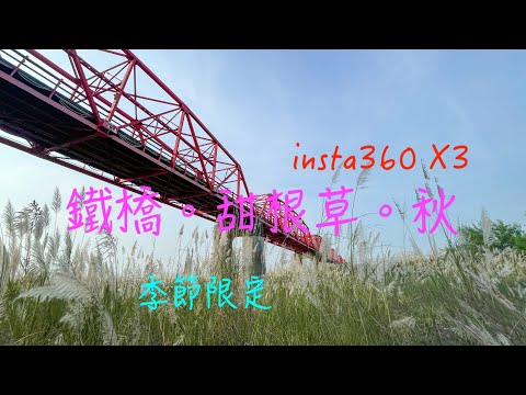 萬ㄟeye台灣20230926鐵橋。甜根仔草。秋/西螺大橋/insta360 X3   4K