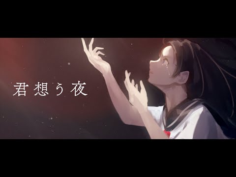 君想う夜 / Osanzi feat.初音ミク