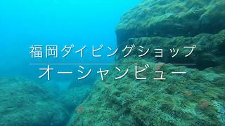 福岡県宗像市　沖ノ島ダイビング　DIVING Okinoshima island, Munakata city, Fukuoka pre, JAPAN