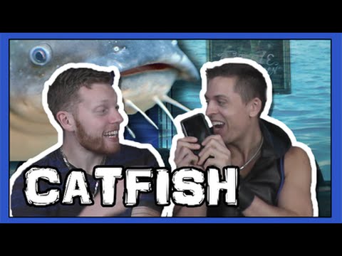 CATFISH for beginners.