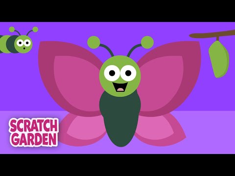 The Life Cycle of a Butterfly | Biology & Natural Science Videos | Parts of a Plant & More!