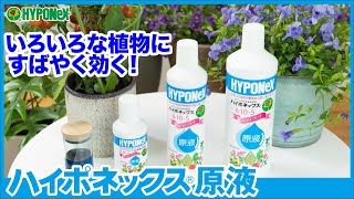 いろいろな花や野菜を元気に育てる！ハイポネックス原液　｜販売士