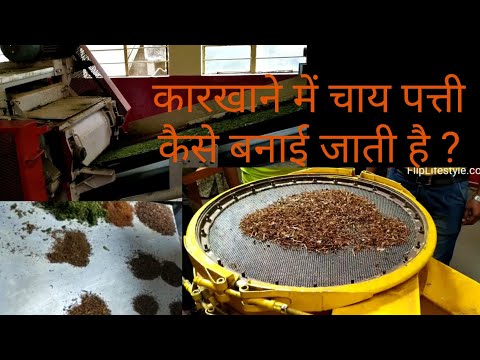 कारखाने में चाय पत्ती कैसे बनाई जाती है | Inside Ripple Tea Factory Munnar | Munnar Vlog | VlogGoals