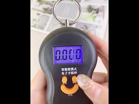 [Little B House] Portable Mini Electronic Scale 50kg Travel Scale Digital Weighing Scale 电子秤行李秤-TV24