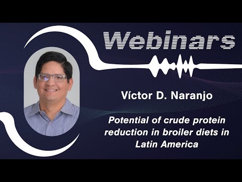 Potential of crude protein reduction in broiler diets in Latin America – Víctor D. Naranjo