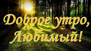 Доброе утро, Любимый!