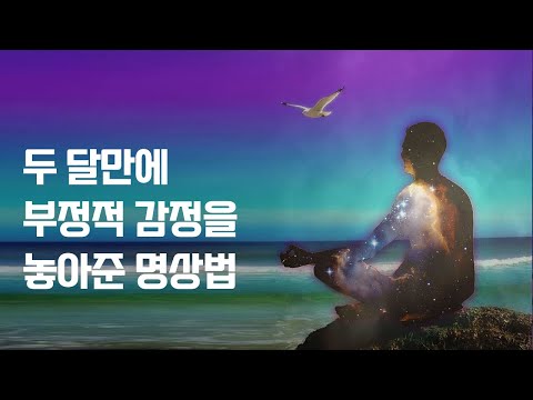 감정정화명상 어플 후기 - 분노가 사라졌어요