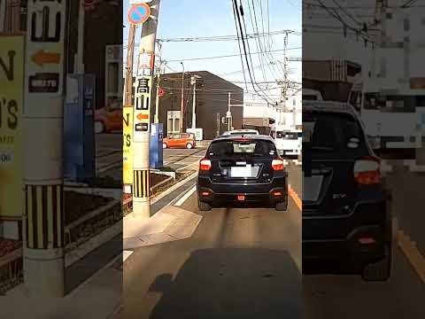 114 おれが信号で止まってるんだかから、全部止めてやるぜ、渋滞を作る車 #shorts