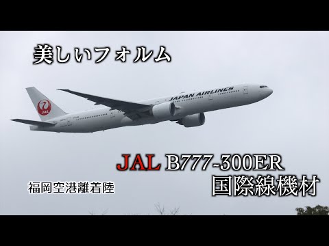 【ド迫力】福岡空港は間近で大型機を見れます！JAL国際線機材B777-300ER