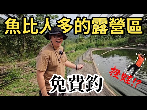 推薦免費釣魚的好營區|甚麼!??要開新頻道了嘛?|賽德克清流部落|星願村露營區[Eng CC sub][日本語cc字幕][老史強在哪裡][廢柴俱樂部]