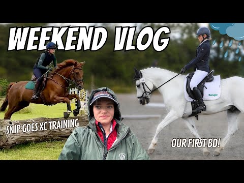 OUR WORST DRESSAGE TEST?! And Snip's XC progress - Weekend Vlog