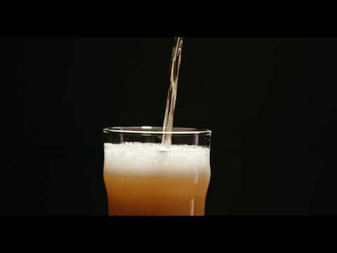 Pouring a Beer | Copyright Free Video Footage