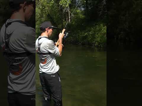 Using a Custom Buzzbait in Small Water!