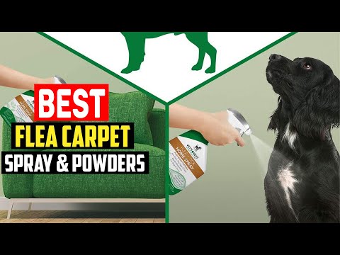 ✅ Top 5 Best Flea Carpet Spray & Powders of 2023