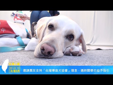 《台灣心事》EP42.20210909跟著 #台灣導盲犬協會 認識黑暗中的領航員 #導盲犬