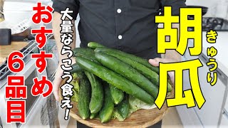 『胡瓜レシピ６選！』【大量消費】☆暑けりゃこれ食え！食欲回復の胡瓜レシピ☆