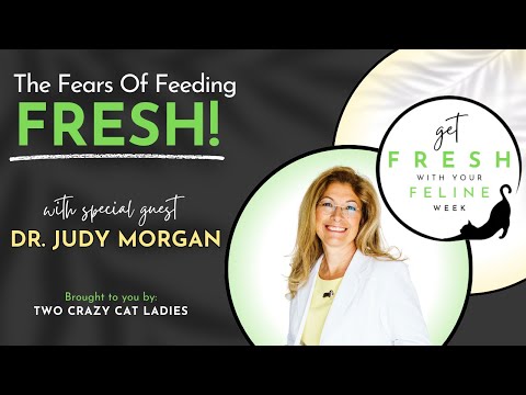 The Fears Around Feeding Fresh with Dr. Judy Morgan | Get Fresh With Your Feline