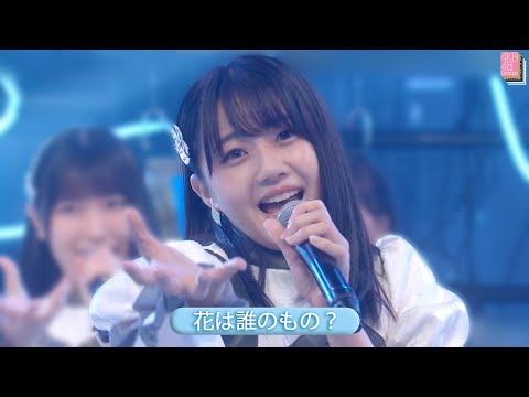 STU48 8th 「花は誰のもの？」 Best Shot Version.