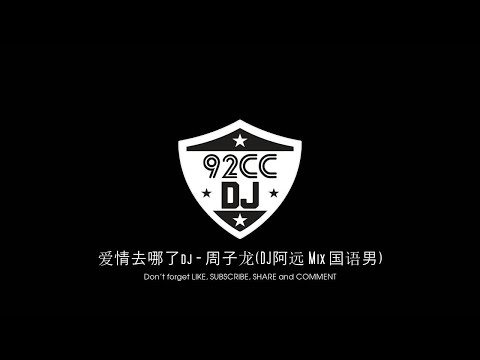 爱情去哪了dj - 周子龙(DJ阿远 Mix 国语男)