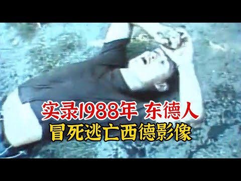 实录1988年，3名东德人翻越柏林墙趟过河流，冒死逃亡至西德影像