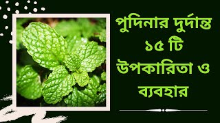 Health benefits of Pudina Leaves ||