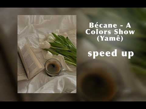 Bécane - A Colors Show – speed up