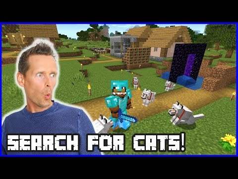 QUEST TO FIND CATS!