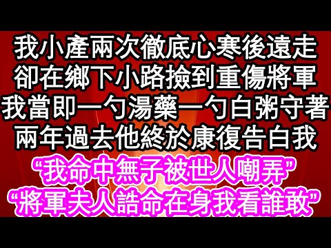 我小產兩次徹底心寒後遠走，卻在鄉下小路撿到重傷將軍，我當即一勺湯藥一勺白粥守著，兩年過去他終於康復告白我“我命中無子被世人嘲弄”“將軍夫人誥命在身我看誰敢”| #為人處世#生活經驗#情感故事#養老