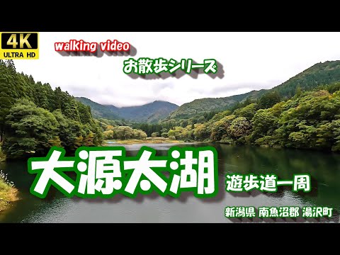 大源太湖 遊歩道一周散歩 【4K お散歩シリーズ】 新潟県 南魚沼郡 湯沢町 大源太キャニオン 24年10月17日