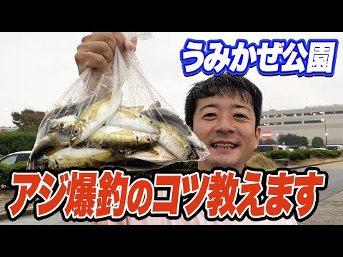 【横須賀うみかぜ公園】アジの回遊コース解説と釣れる仕掛け紹介！サビキ釣果に圧倒的な差が！