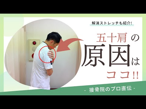 【五十肩〜肩が上がらない〜】肩が痛くて上がらない方へのストレッチ！｜接骨院のプロが教えるお家セルフケア｜テラピスト接骨院