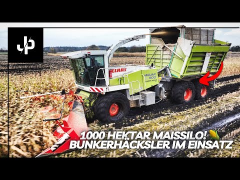 1000HA Maissilo! Maisernte 2024 & Bunkerhäcksler! || JP Agrar