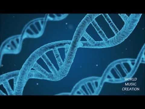 聲波治療 DNA修補之術[2小時]第二輯 採用特定528HZ 快速修補身體內DNA