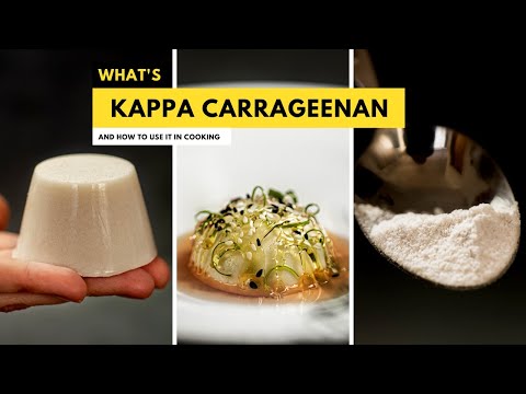 Kappa Carrageenan 101: Mastering the Culinary Power of this Seaweed Gel