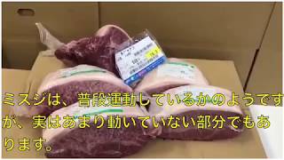 お肉の勉強 豆知識 牛肉 部位 ミスジ ウデ