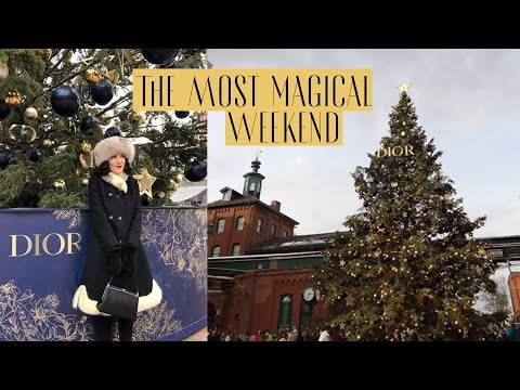 Weekend Vlog: CHRISTMAS Tree lighting, Market, and Parade!! | Carolina Pinglo