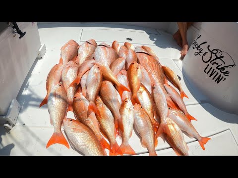 LAST DAY OF RED SNAPPER SEASON BEATDOWN IN HORRIBLE WEATHER