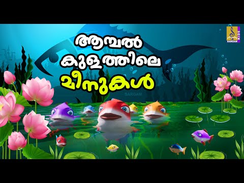 ആമ്പൽകുളത്തിലെ മീനുകൾ | Cartoon Stories Malayalam | Fish Stories Malayalam #cartoons #fish