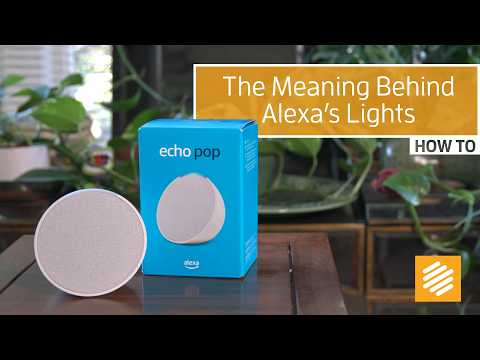 Confused by Alexa’s light rings? Here’s what the colors mean