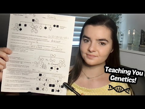 ASMR Teaching You Genetics | Drawing Pedigrees