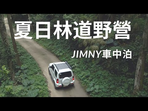 Summer Forest Road Camping｜Jimny｜Invincible Night View｜JB43｜Outdoor Coffee