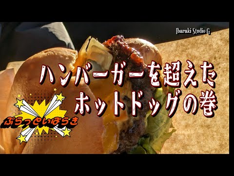 【つくば】ハンバーガーを超えたホットドッグの巻　Babie Dogs