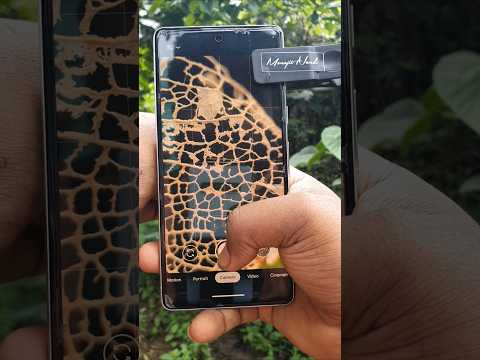 Creative Smartphone Photography with Macro Lens #ytshorts #youtubeshorts #photography #viralvideo