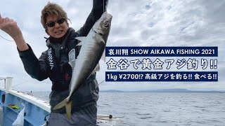 【 金谷で黄金アジ釣り‼︎ 】 1kg 2700円⁉︎ 高級アジを釣る。船上で食べる‼︎ 贅沢な大人の遊び方‼︎